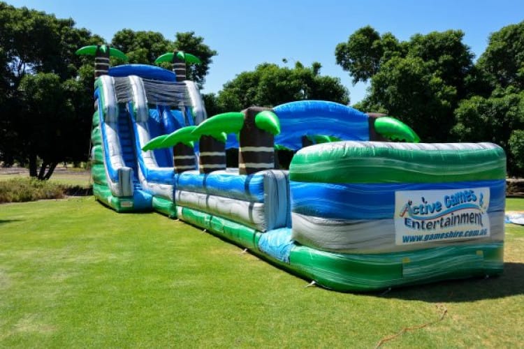 Tropical Double Lane Water Slide Tropical Double Lane Water Slide