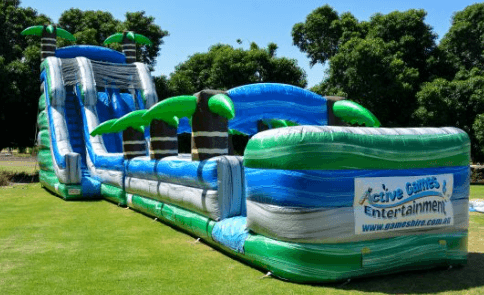 Tropical double lane water slide (1)