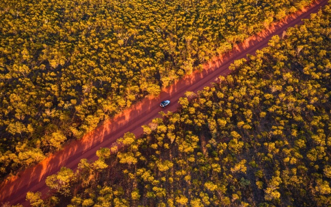 Monsterball are Bouncing in Broome!