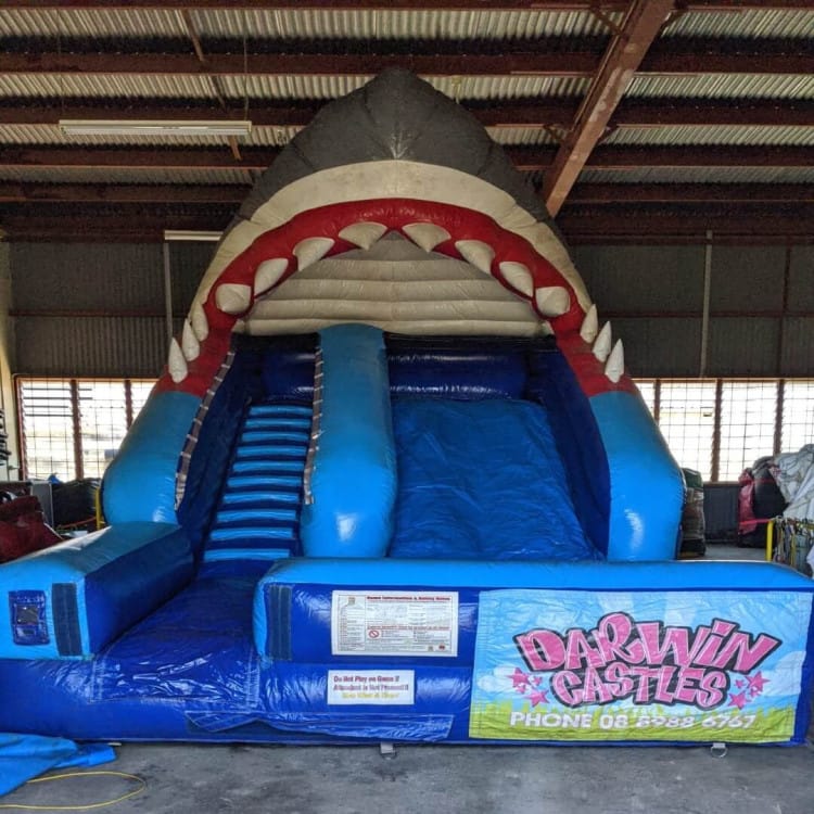 Bruce the Shark Bruce the Shark
