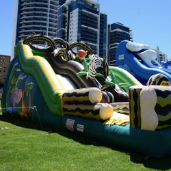 Double Lane Jungle Slide