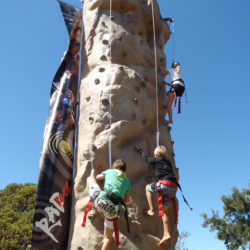 Rock Climbing Wall (4 x Climbers)