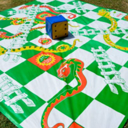 Snakes and Ladders