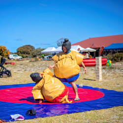 Sumo Suits Sumo Suits