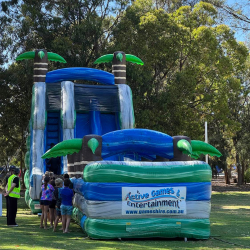 Tropical Double Lane Water Slide